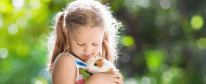 How to Safely Feed Peas to Guinea Pigs 